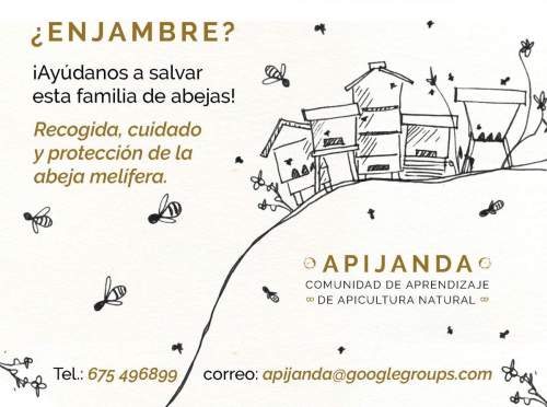 ¿Enjambre? Recogida, cuido y protección de la abeja melífera