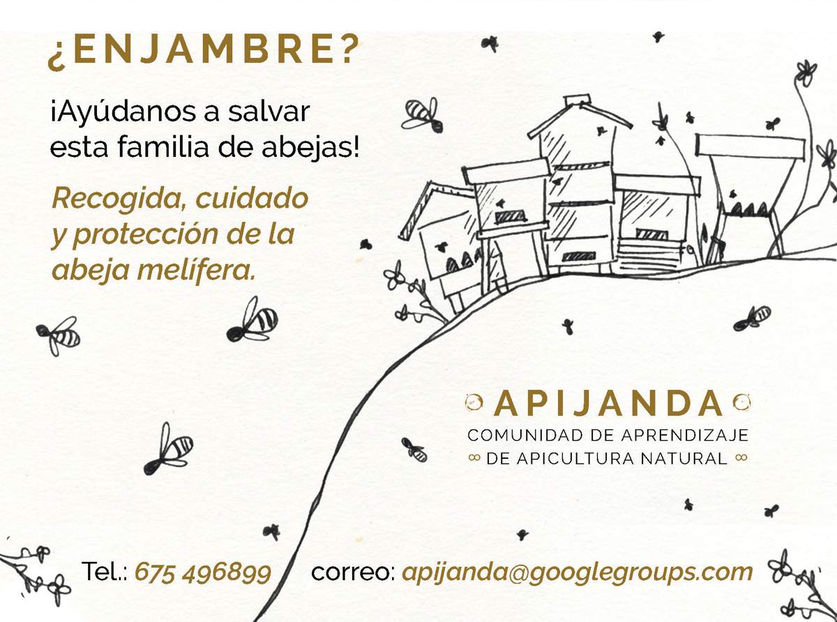 ¿Enjambre? Recogida, cuido y protección de la abeja melífera